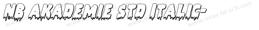 NB Akademie Std Italic字体转换